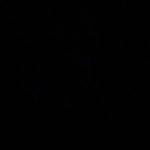 Meet your Posher, Fabian